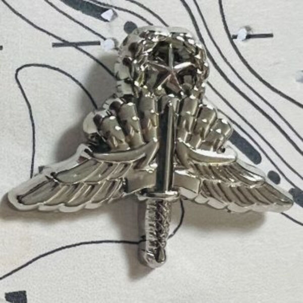 MFFJM Lapel Pin Thumbnail